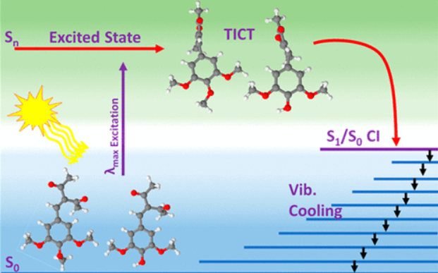 Insight into the Photodynamics of Photostabilizer Molecules