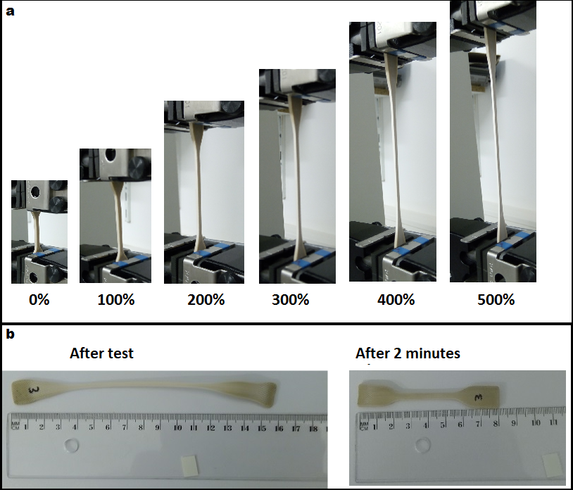 Shape Memory Polymer Based on Poly(Hydroxyalkanoates)
