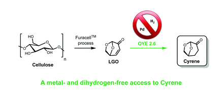 Materials and methods for alkene reduction of levoglucosenone by an alkene reducatase