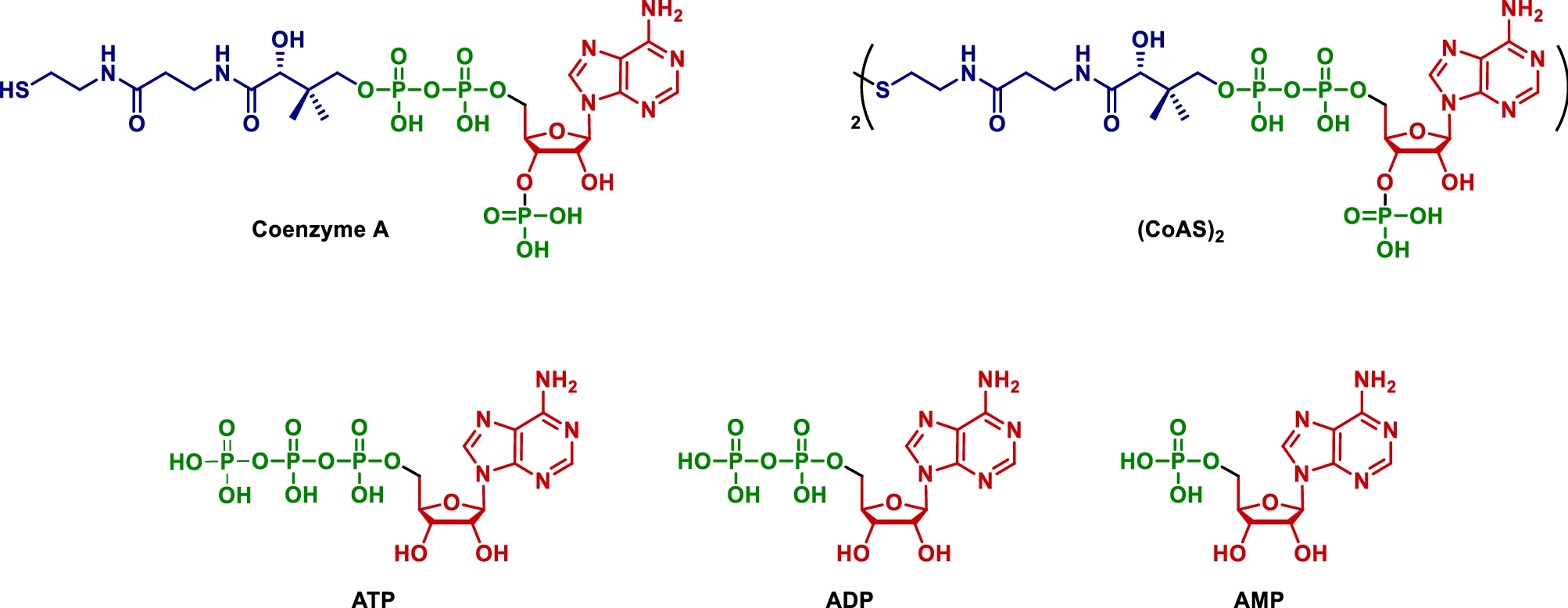 Unlocking the access to oxidized coenzyme A via a single-step green membrane-based purification