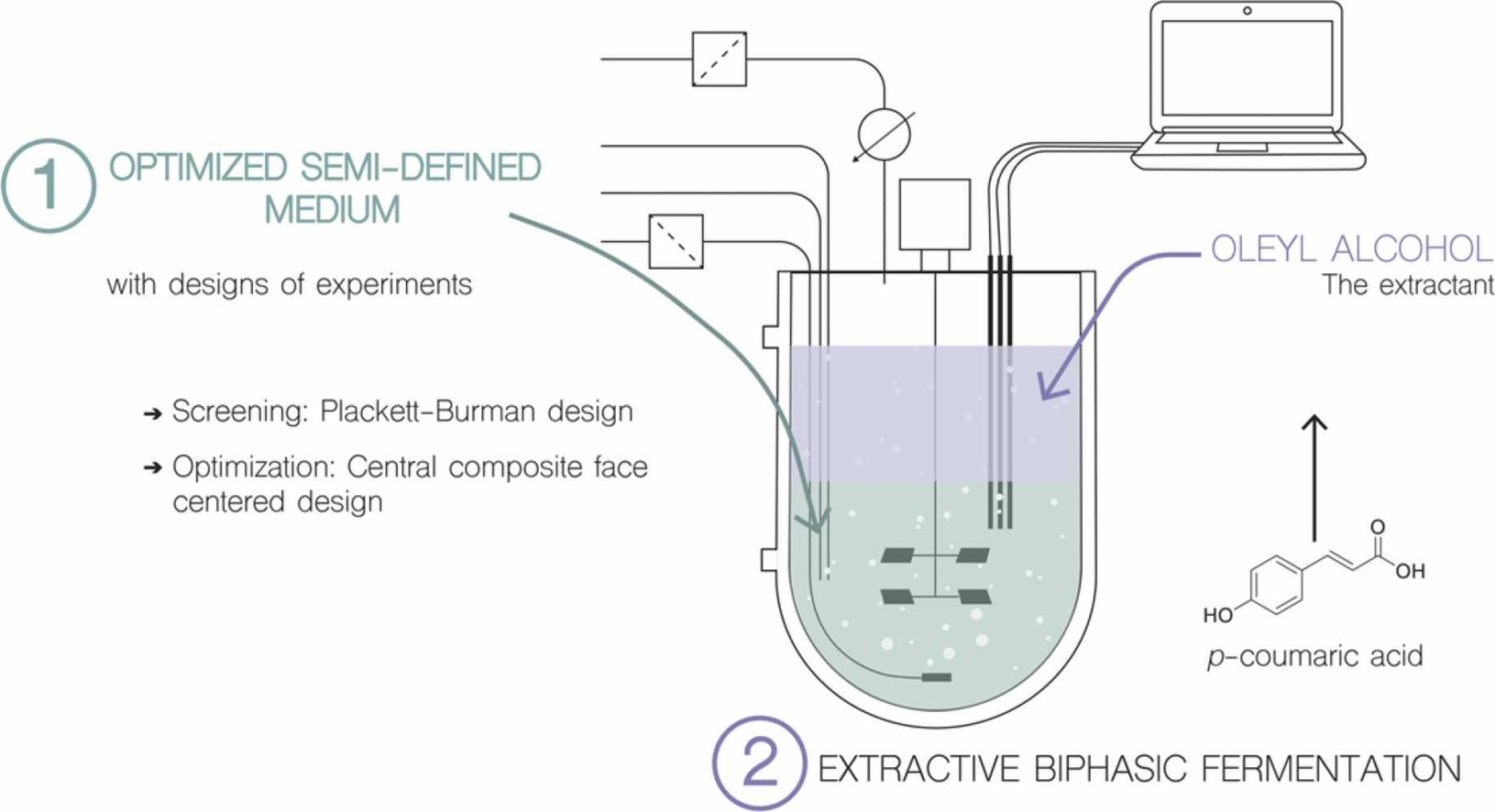 An optimized semi-defined medium for p-coumaric acid production in extractive fermentation
