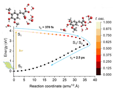 Molecular Heaters: A green route to boosting crop yields?