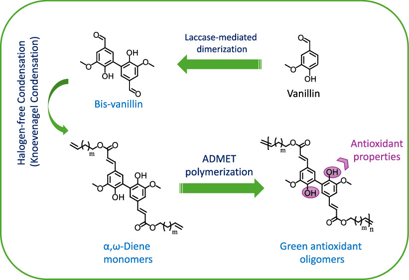Halogen-Free Synthesis of α,ω-Dienes and Antioxidant Oligomers from Vanillin