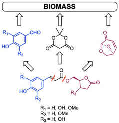Green synthesis of enantiopure 5-O-feruloyl-2-deoxy-D-ribono-γ-lactone, 5-O-feruloyl-(S)-4-(hydroxymethyl)-γ-butyrolactone and analogues from lignocellulose-derived p-hydroxybenzaldehydes and levoglucosenone
