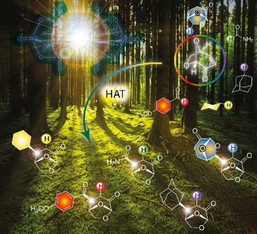 Photocatalytic Radical Addition to Levoglucosenone
