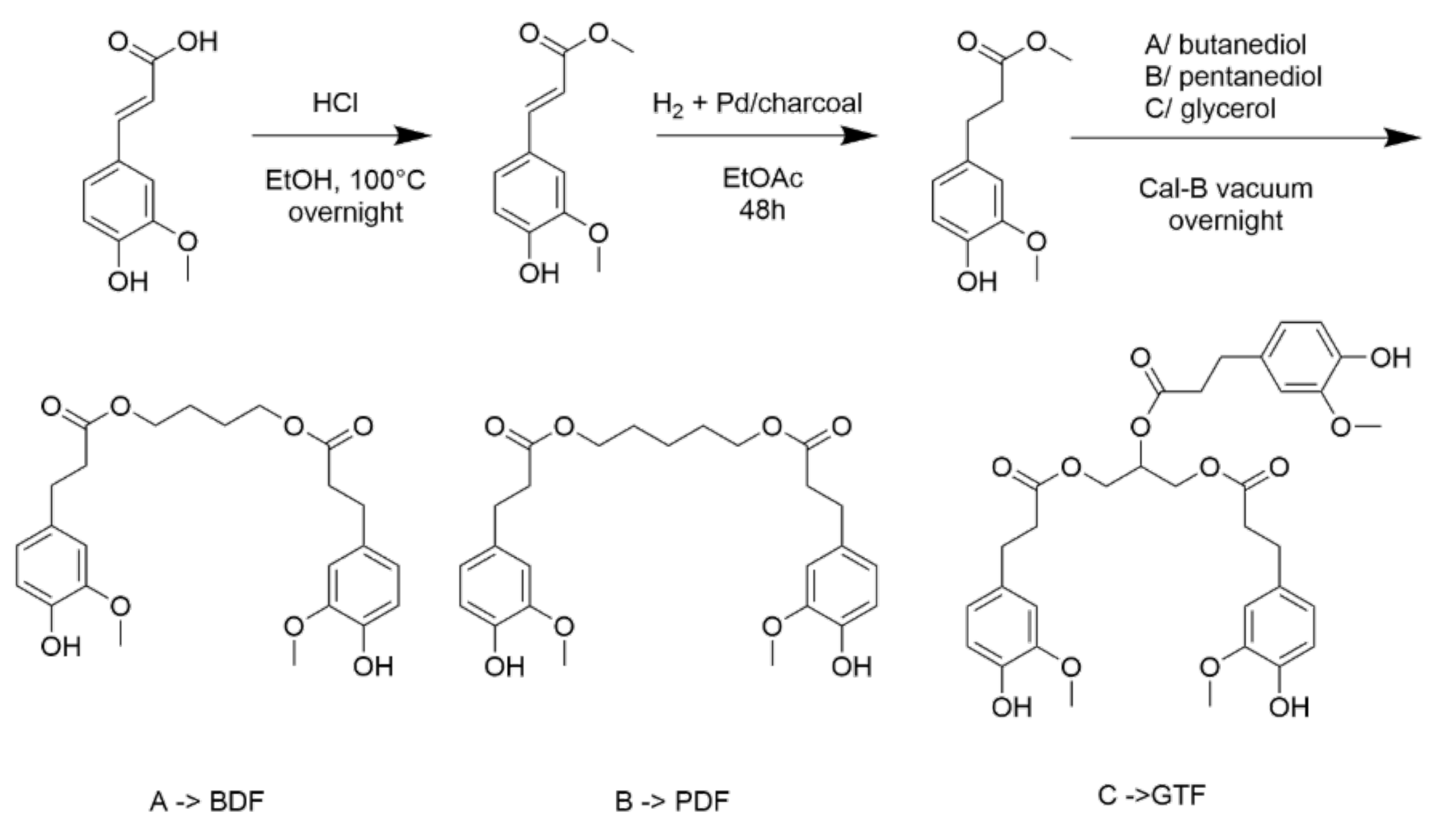 Improved Processability and Antioxidant Behavior of Poly(3-hydroxybutyrate) in Presence of Ferulic Acid-Based Additives