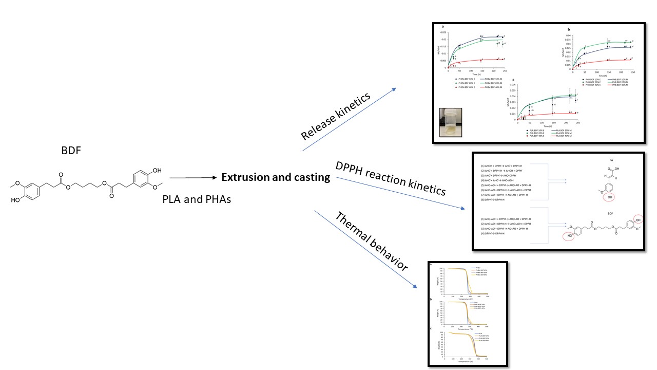 Effect of ferulic acid derivative concentration on the release kinetics, antioxidant capacity, and thermal behaviour of different polymeric films