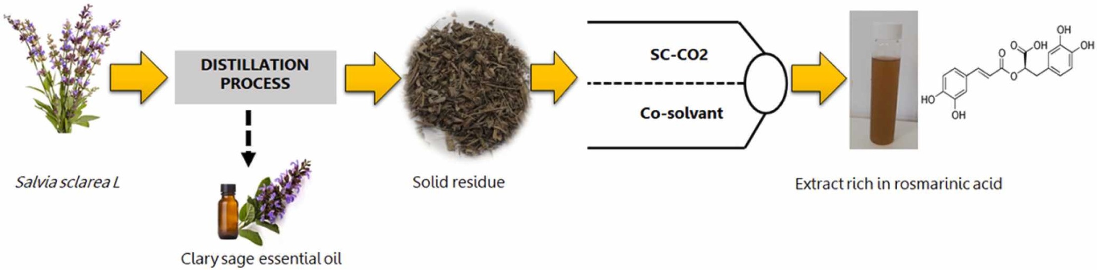 Optimization of the supercritical extraction of rosmarinic acid from clary sage residue and the antioxidant activity of the extracts
