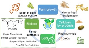 Green synthesis of (R)-3-hydroxy-decanoic acid and analogues from Levoglucosenone: A novel access to the fatty acid moiety of rhamnolipids