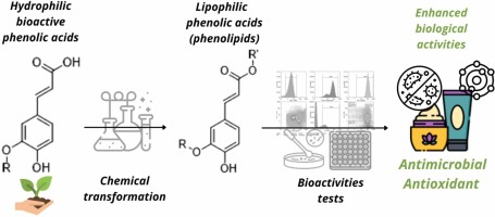 Evaluation of the antimicrobial and antioxidant properties of synthetic phenolipids