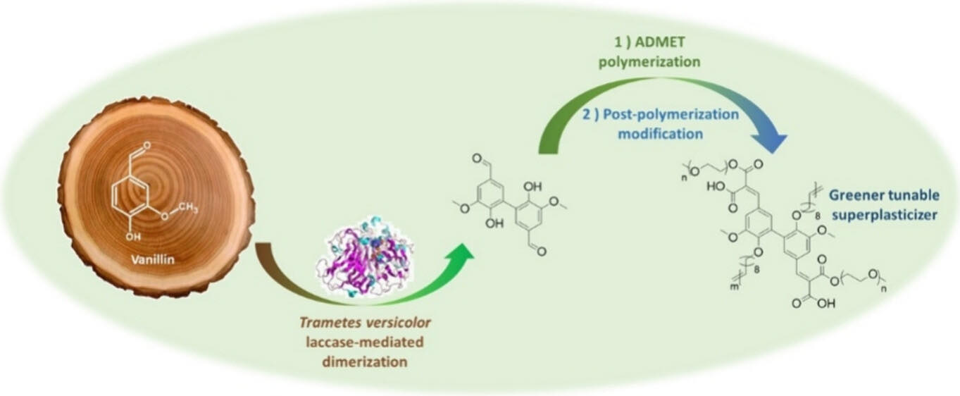 From Vanillin to Concrete Plasticizers: An Innovative Path through ADMET Polymerization