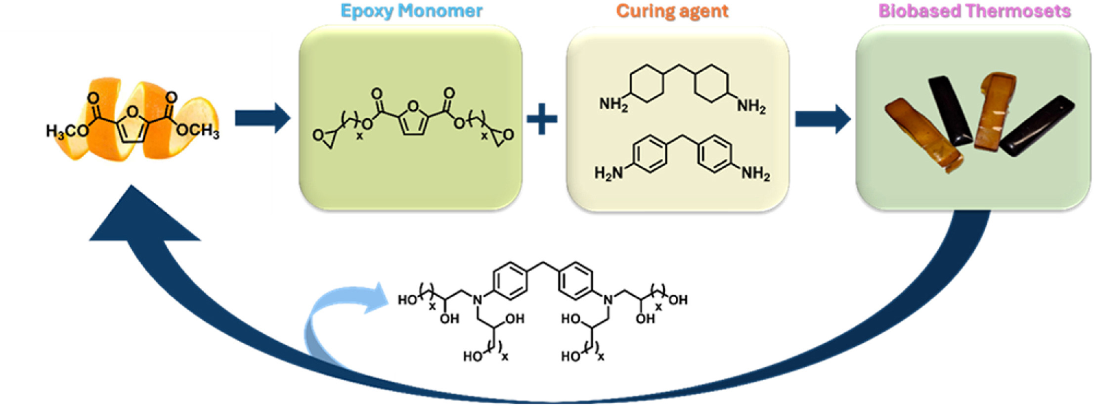 Bio-based epoxy thermosets from 2,5-furan dicarboxylic acid derivates with tunable chain length