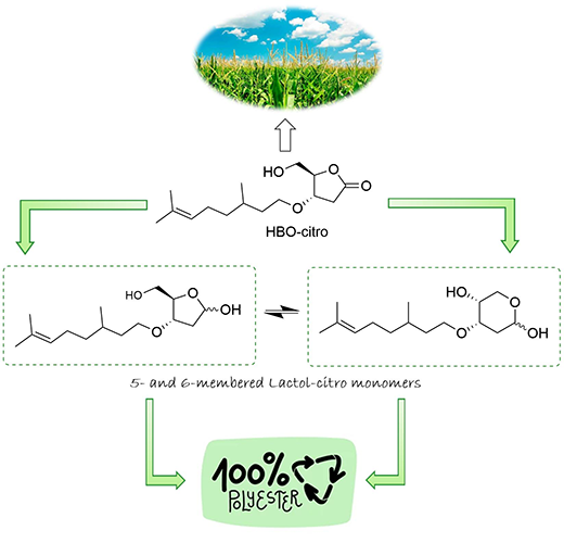 Synthesis and Enzymatic Degradation of Sustainable Levoglucosenone-Derived Copolyesters with Renewable Citronellol Side Chains