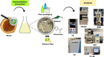Extraction and chemical features of wood hemicelluloses: A review