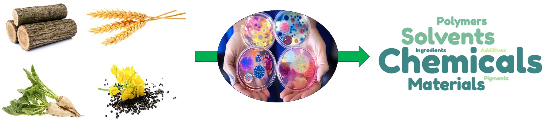 Biocatalysis, a great toolbox for the upgrading of biomass