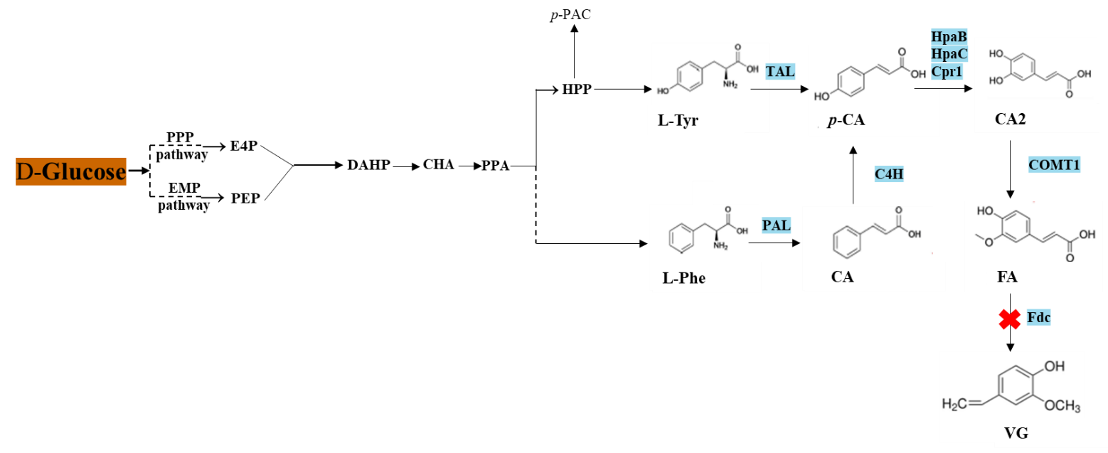 Development of a Tailored Culture Medium for Improved De Novo Biosynthesis of Ferulic Acid in Fed-Batch Biphasic Fermentation with Saccharomyces cerevisiae